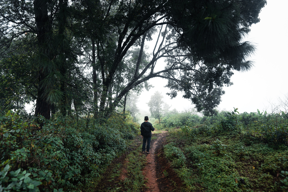 Adventure Activities